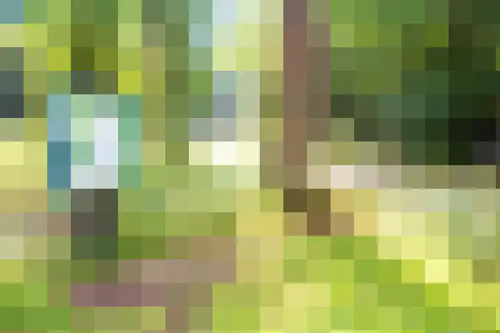 Hagedoorn 61 Emmen thumbnail 39