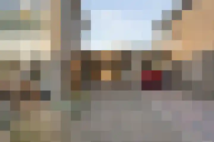 Hagedoorn 61 Emmen thumbnail 4