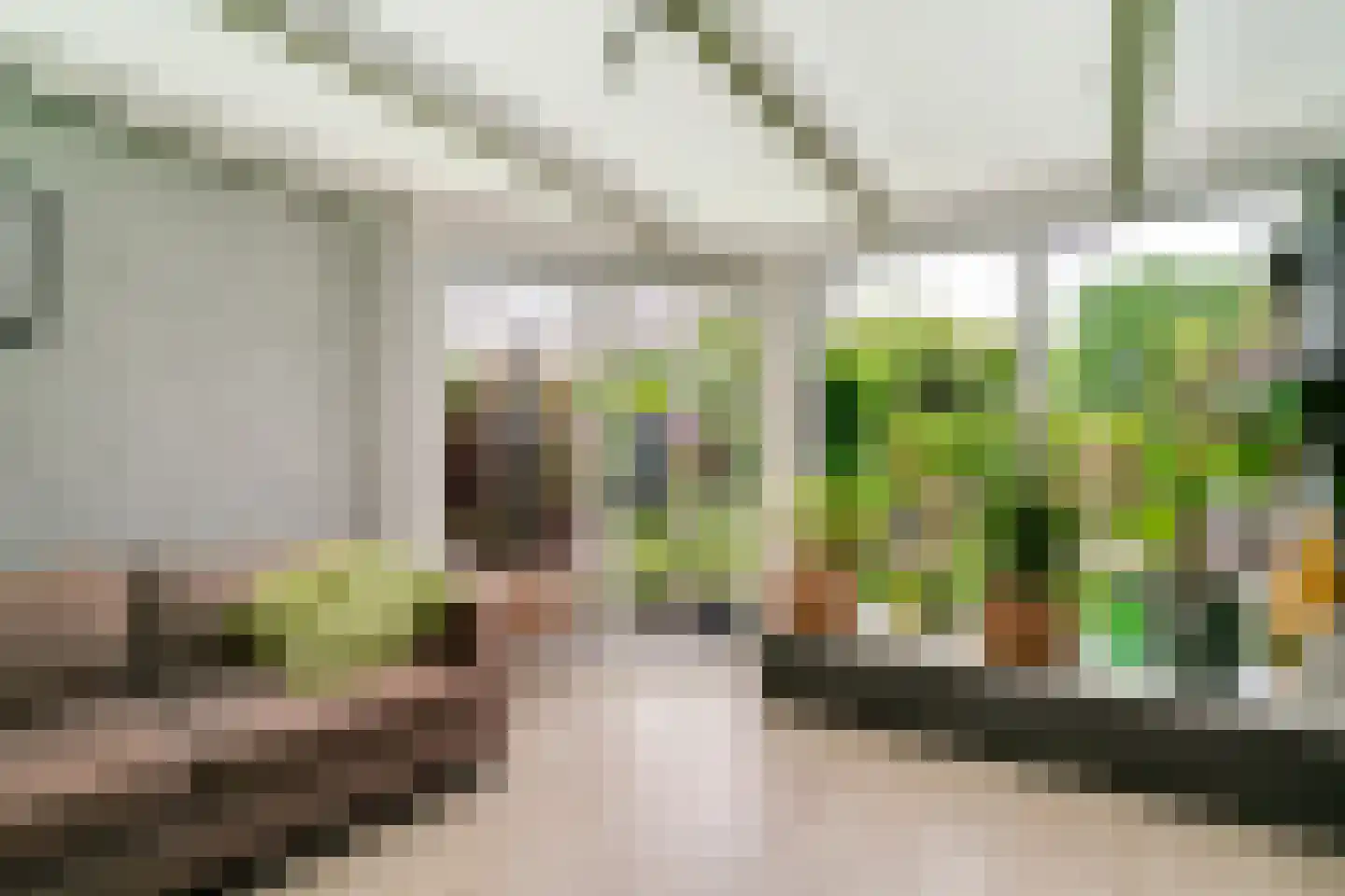 Hagedoorn 8 's-Heerenberg thumbnail 17