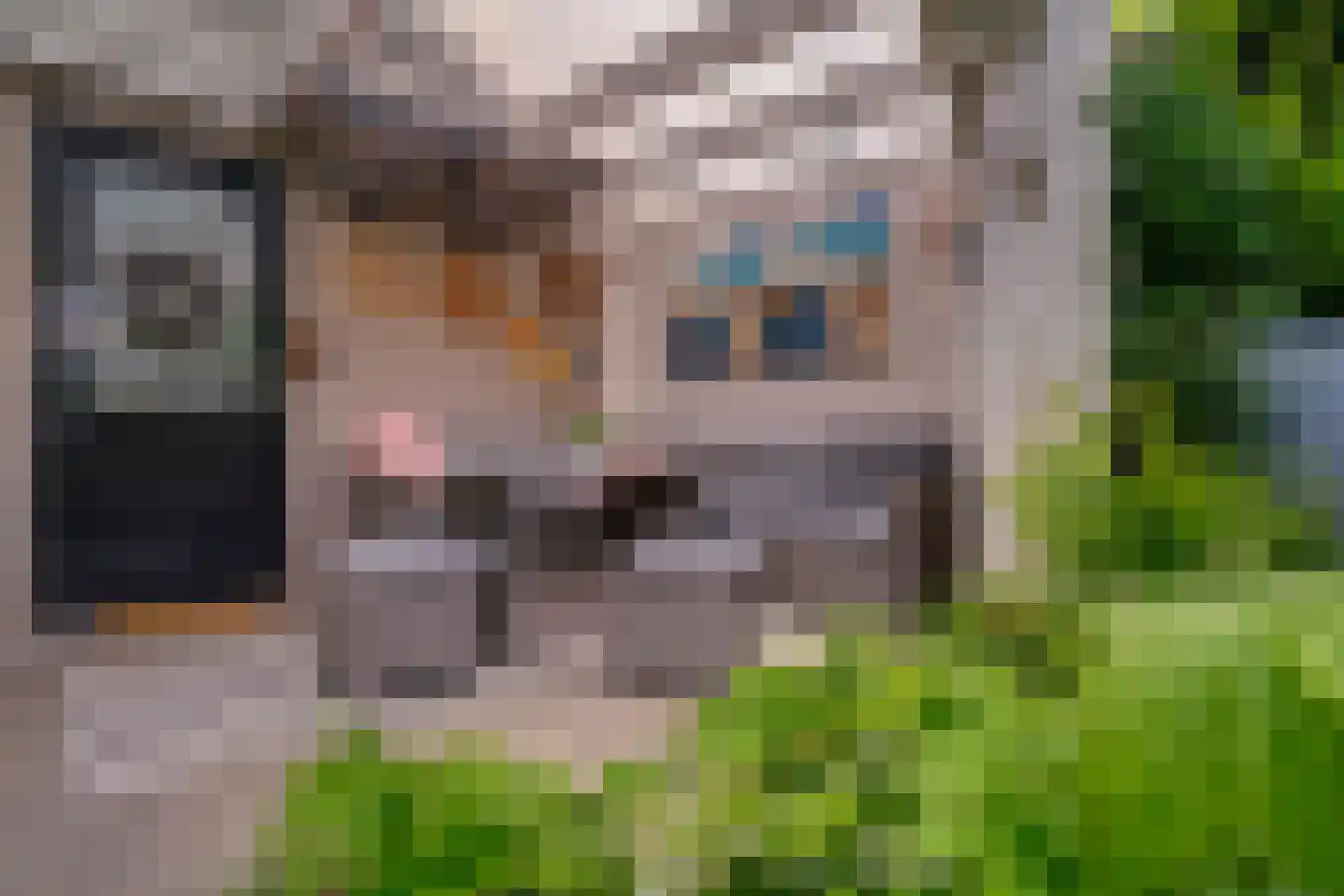 Hagedoorn 8 's-Heerenberg thumbnail 19
