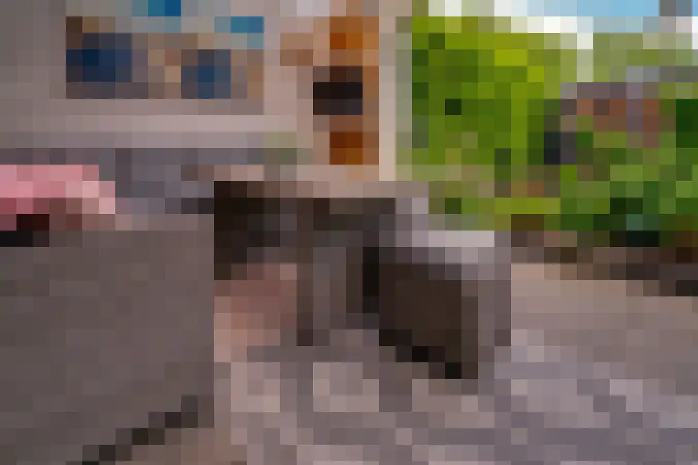 Hagedoorn 8 's-Heerenberg thumbnail 20
