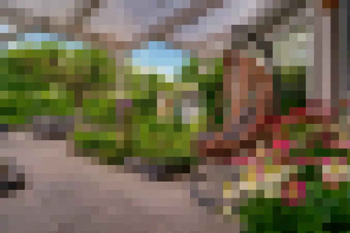 Hagedoorn 8 's-Heerenberg thumbnail 21