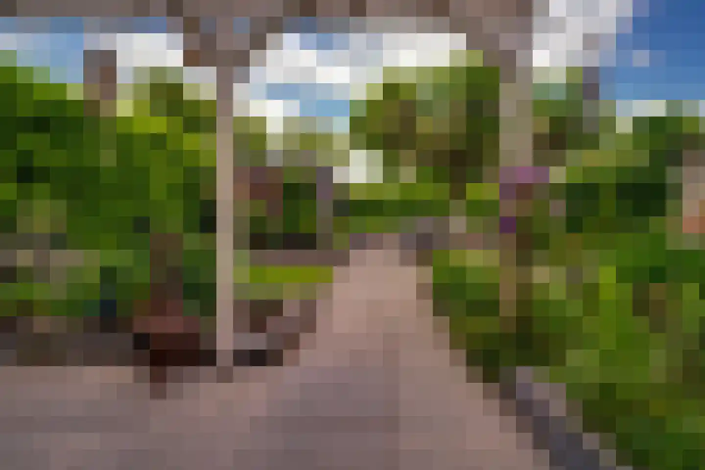 Hagedoorn 8 's-Heerenberg thumbnail 22