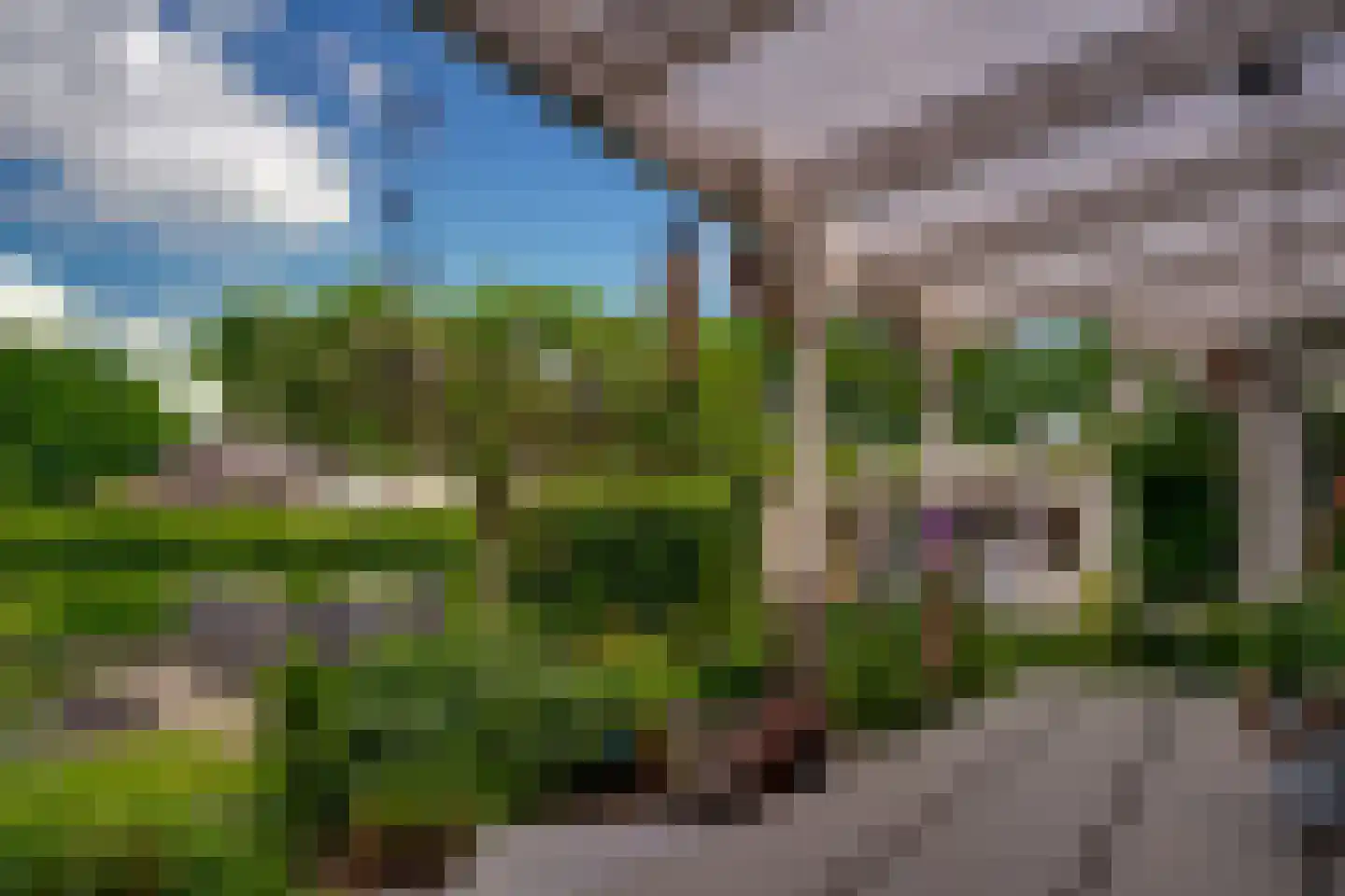 Hagedoorn 8 's-Heerenberg thumbnail 23