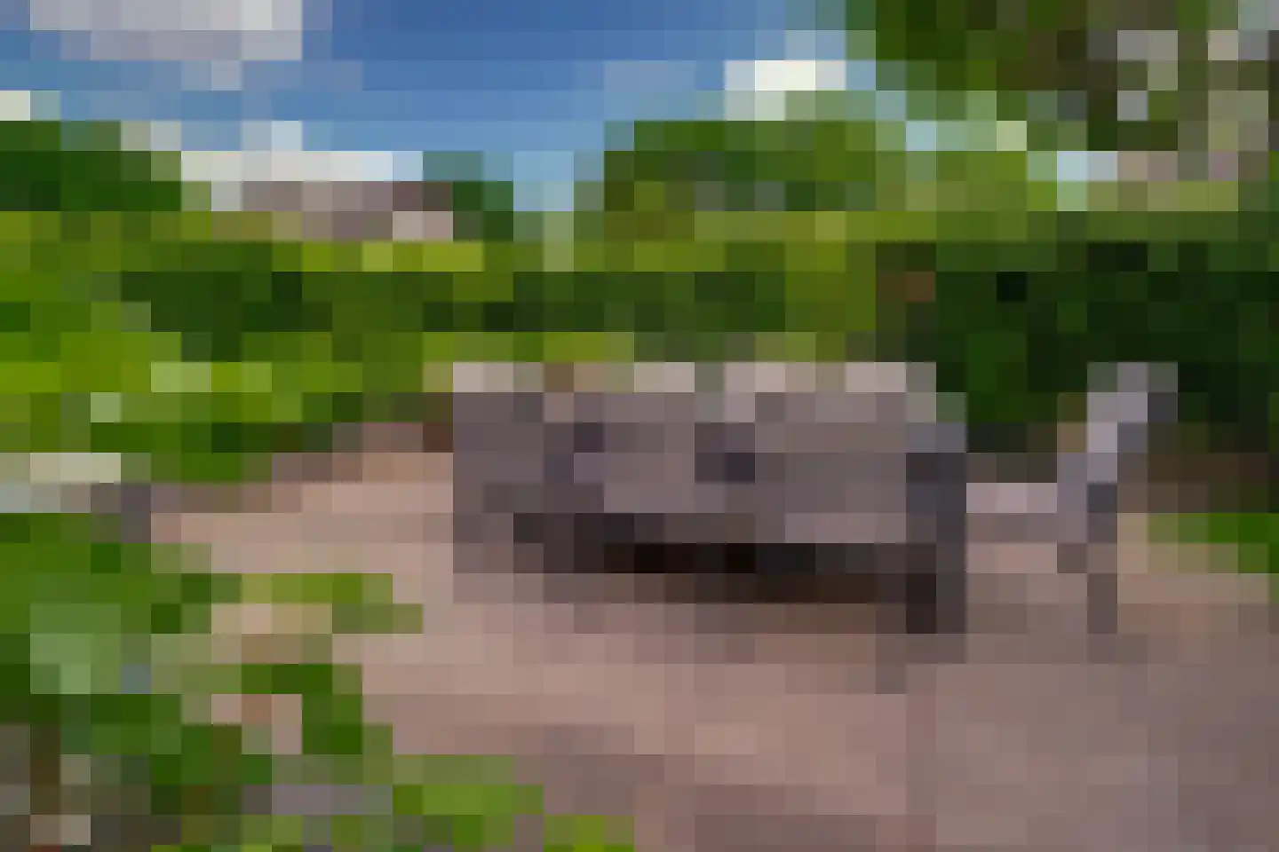 Hagedoorn 8 's-Heerenberg thumbnail 26