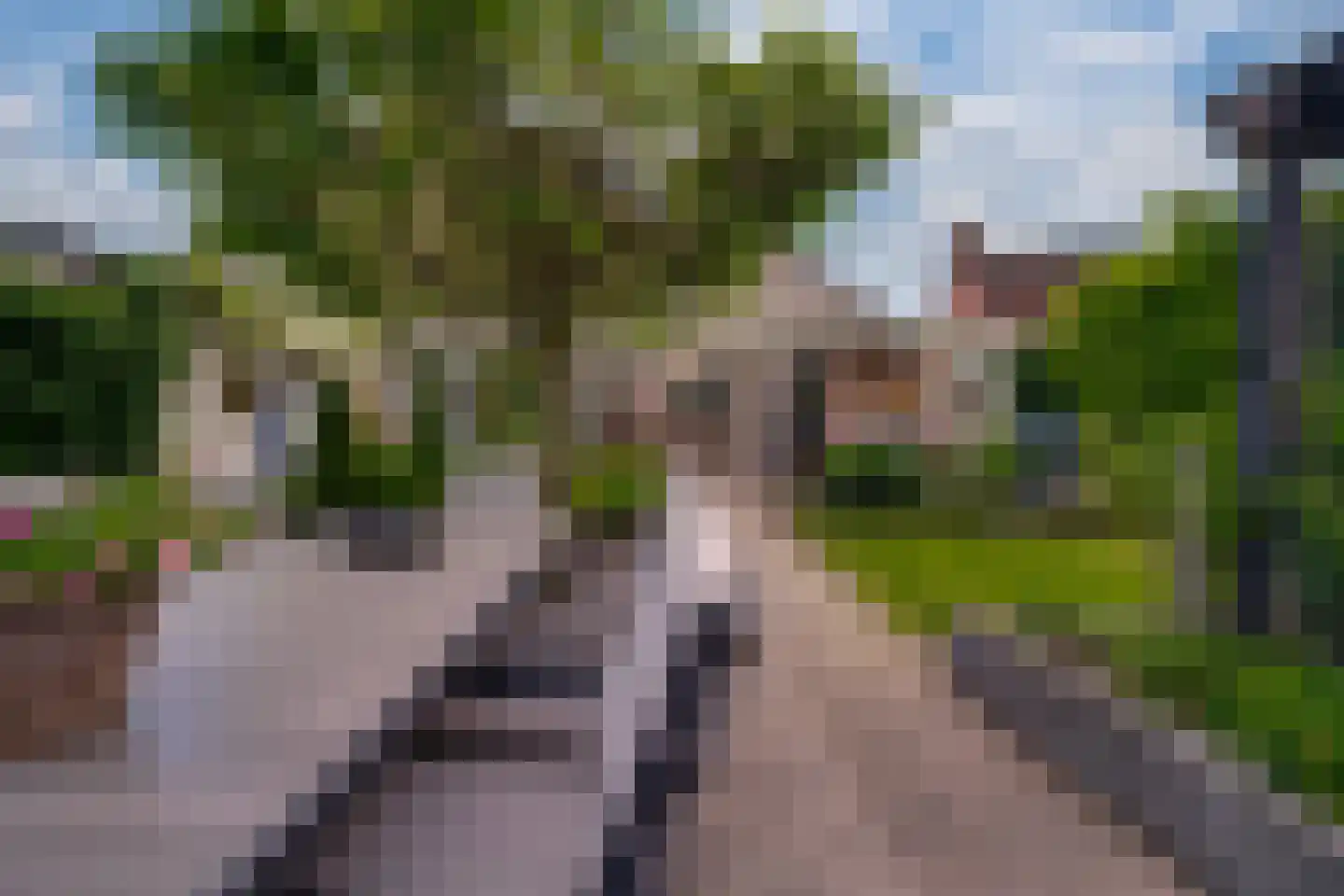 Hagedoorn 8 's-Heerenberg thumbnail 28