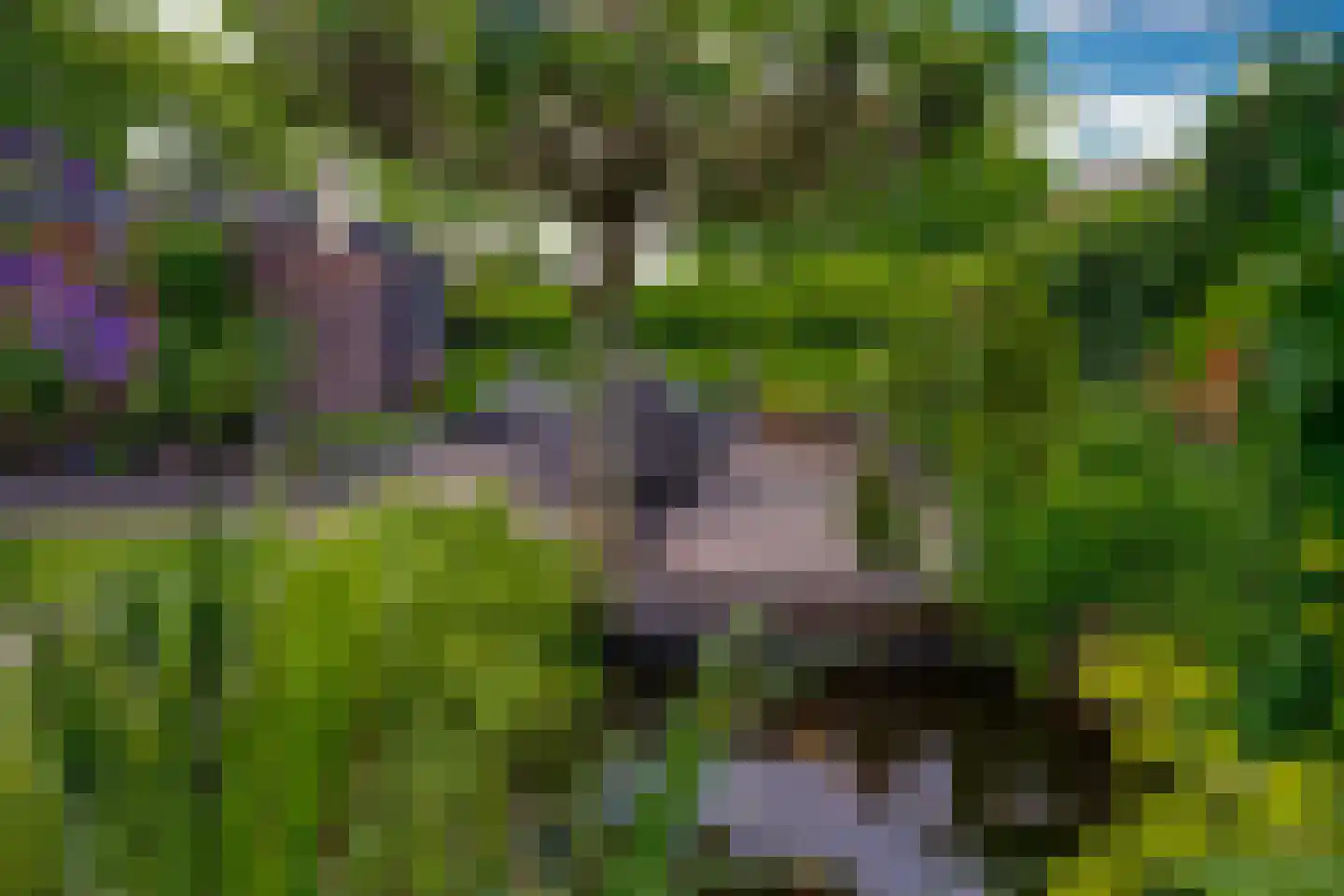 Hagedoorn 8 's-Heerenberg thumbnail 29