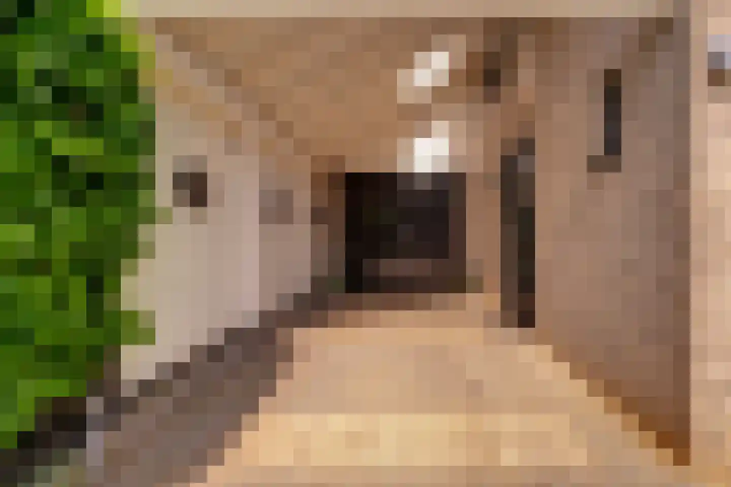 Hagedoorn 8 's-Heerenberg thumbnail 4