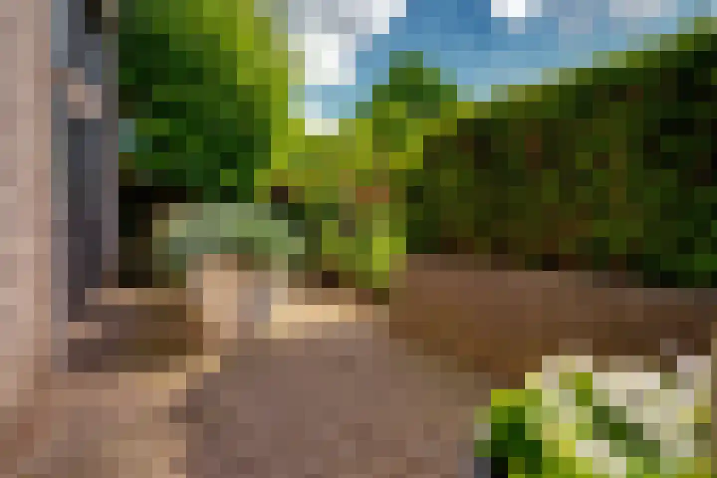 Hagedoorn 8 's-Heerenberg thumbnail 53
