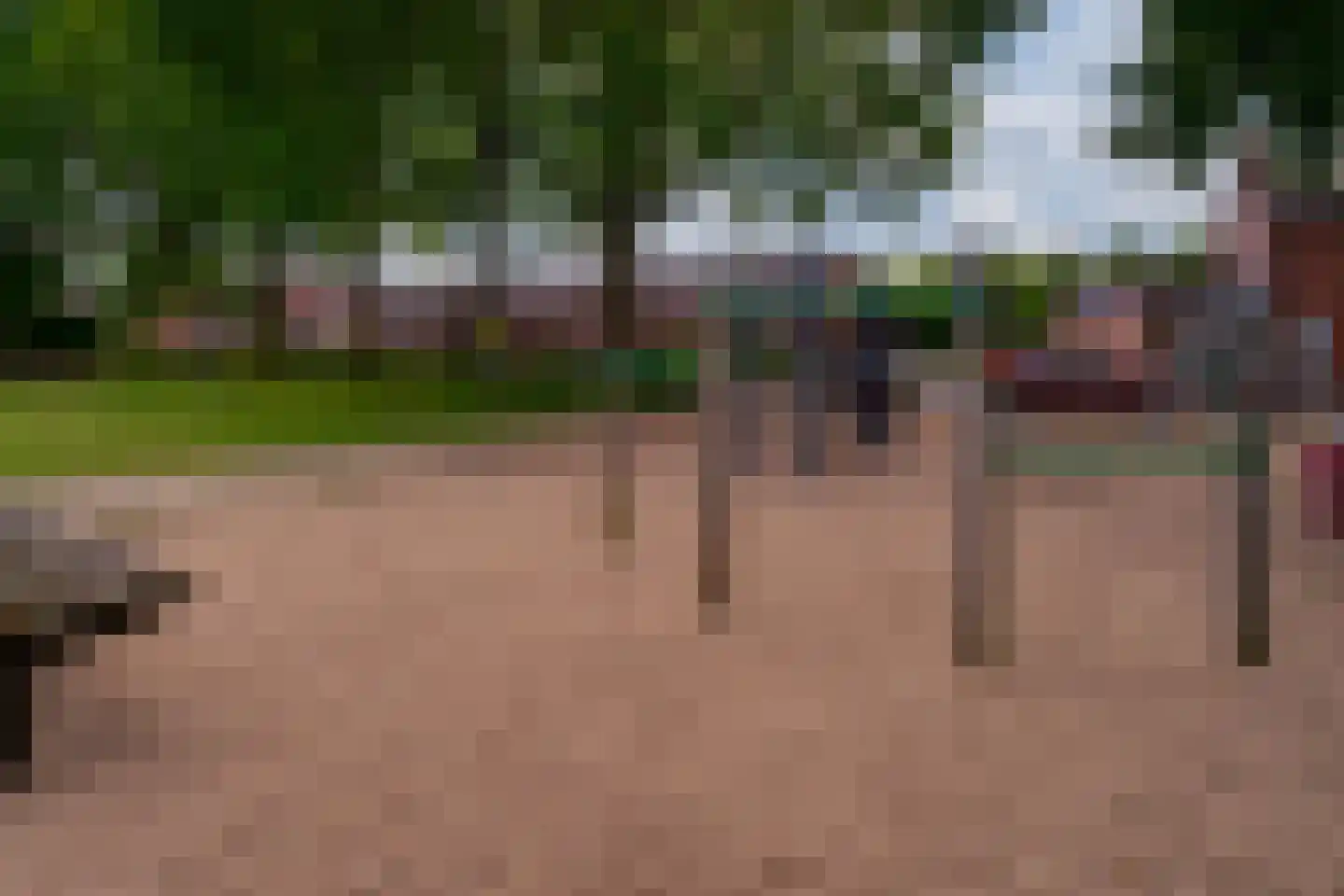 Hagedoorn 8 's-Heerenberg thumbnail 61