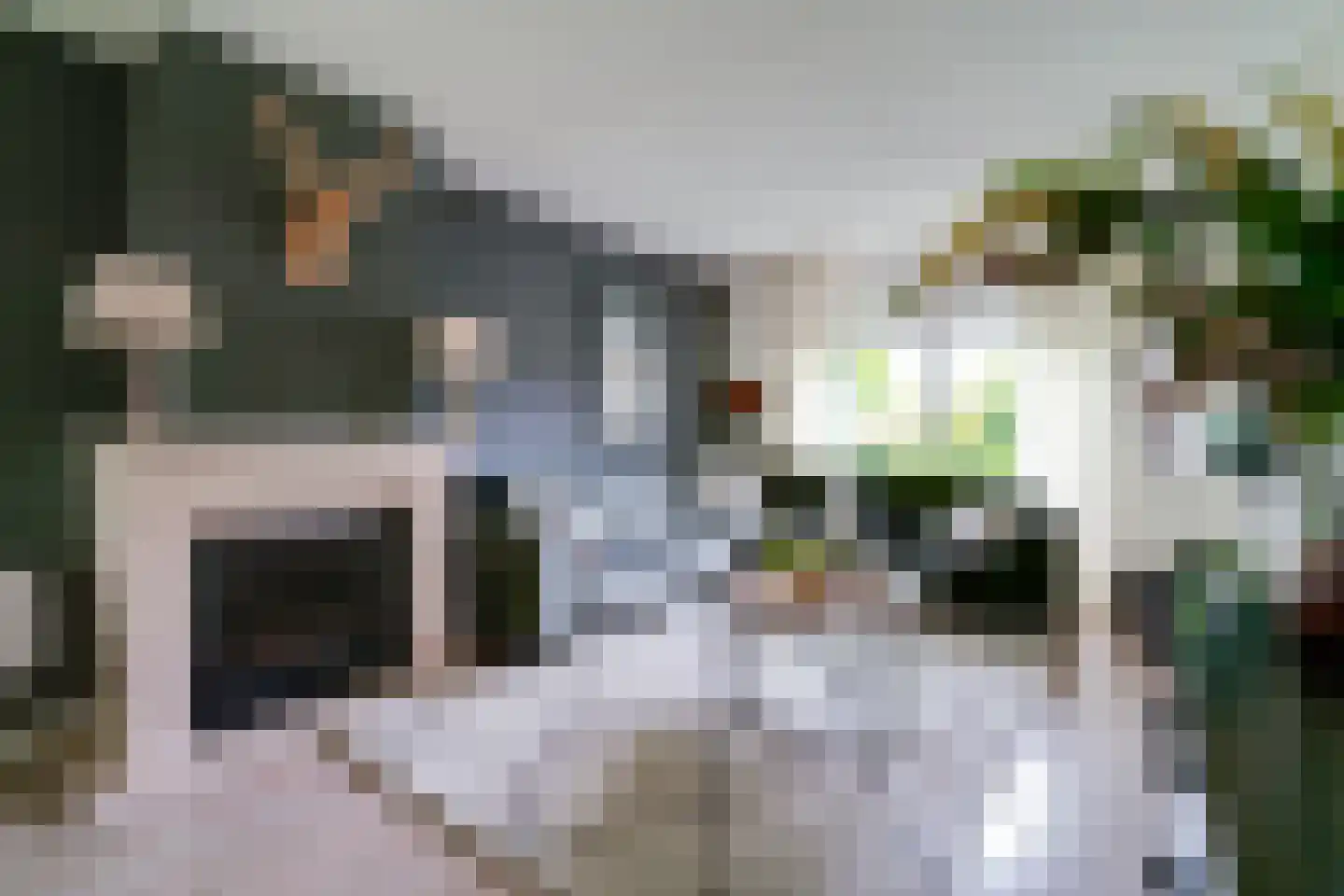 Hagedoorn 8 's-Heerenberg thumbnail 8