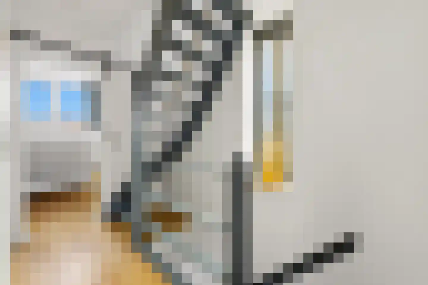 Hagedoornstraat 24 B Rotterdam thumbnail 30