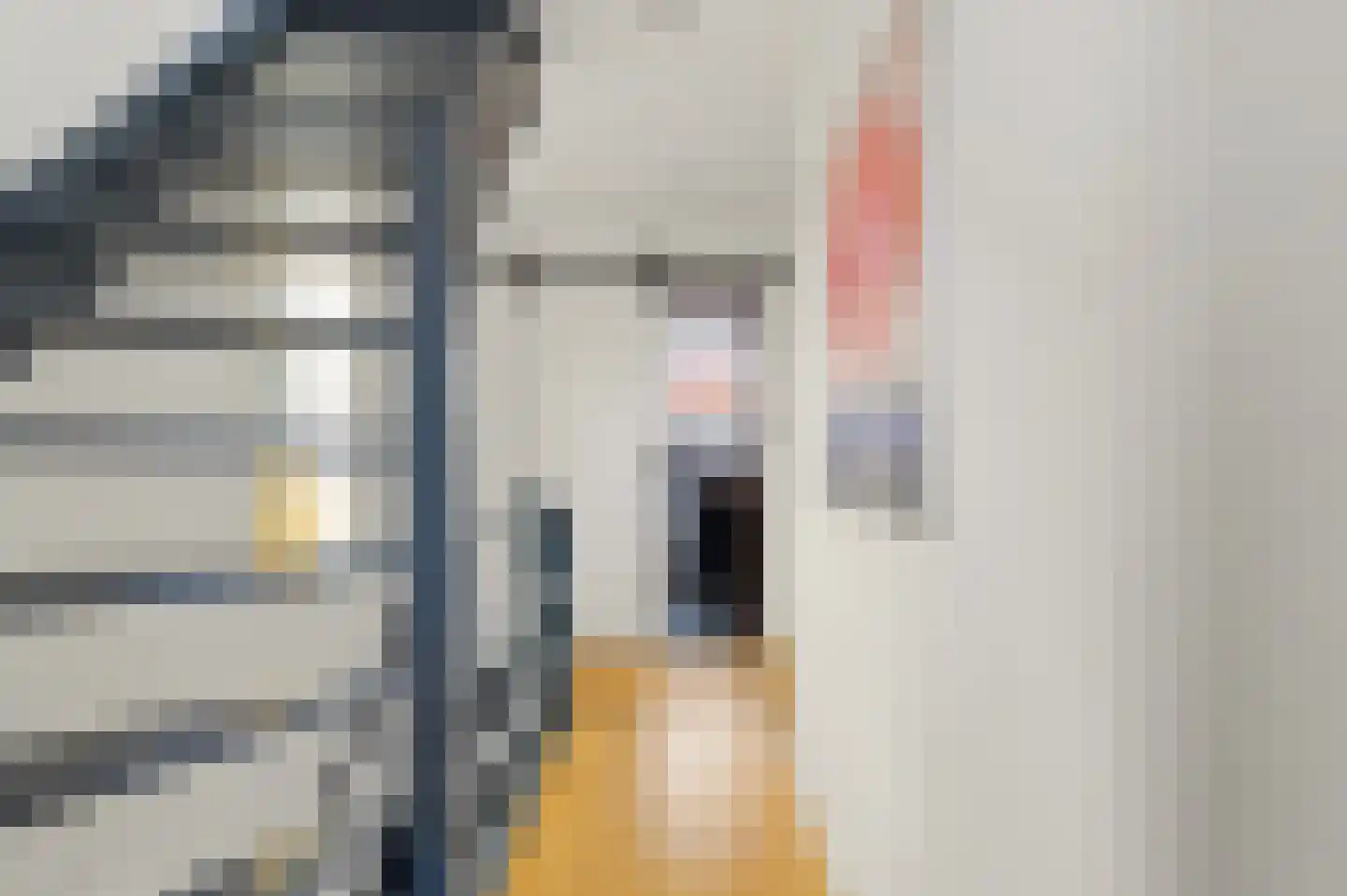 Hagedoornstraat 24 B Rotterdam thumbnail 33