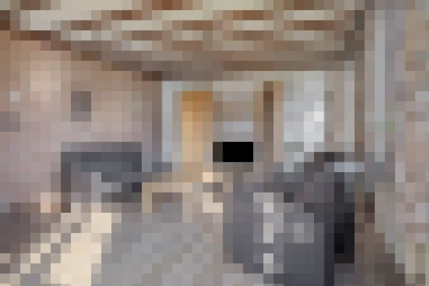 Hagedoornstraat 5 Heerde thumbnail 5