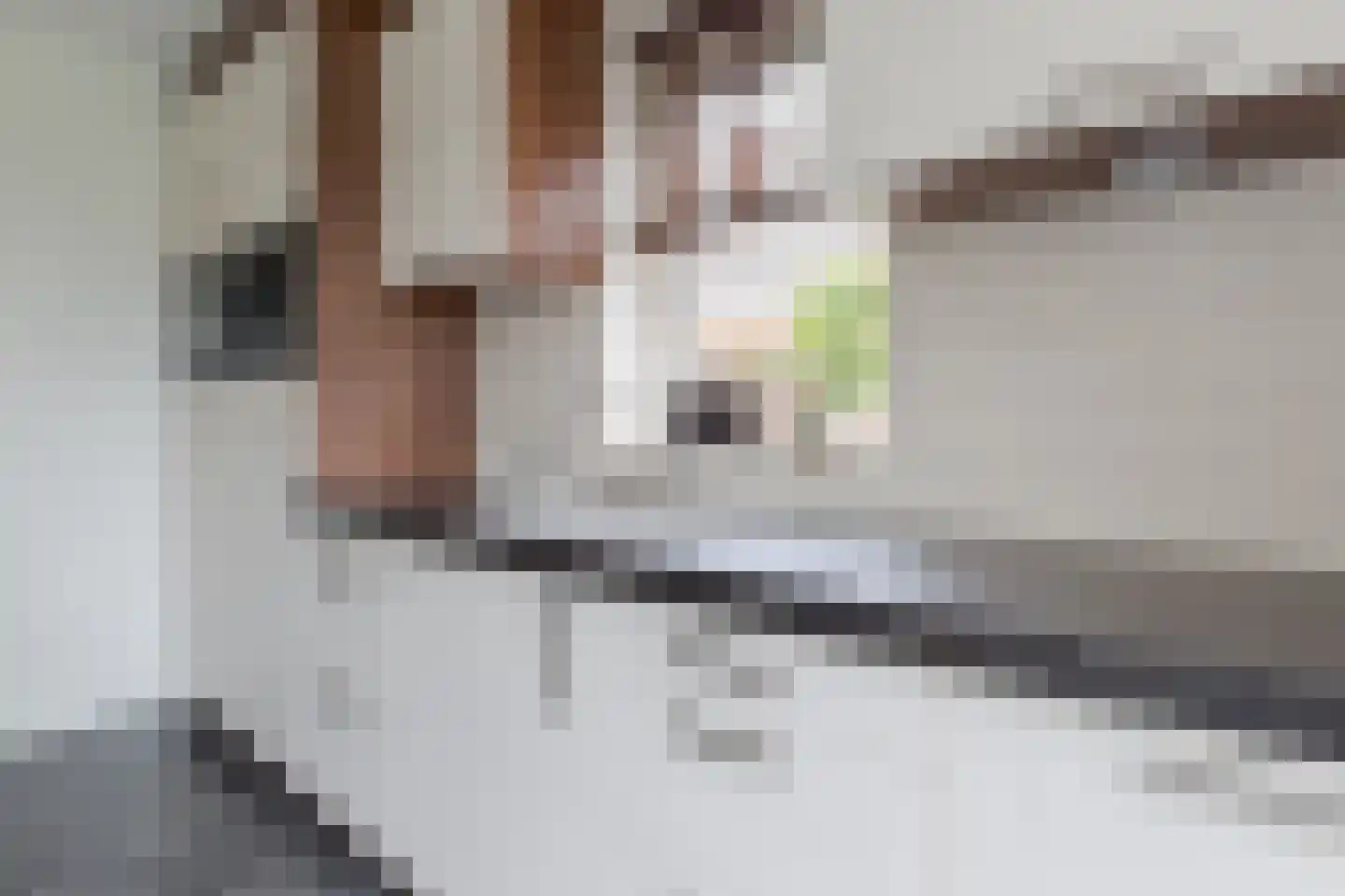 Hagedoornstraat 6 De Blesse thumbnail 19