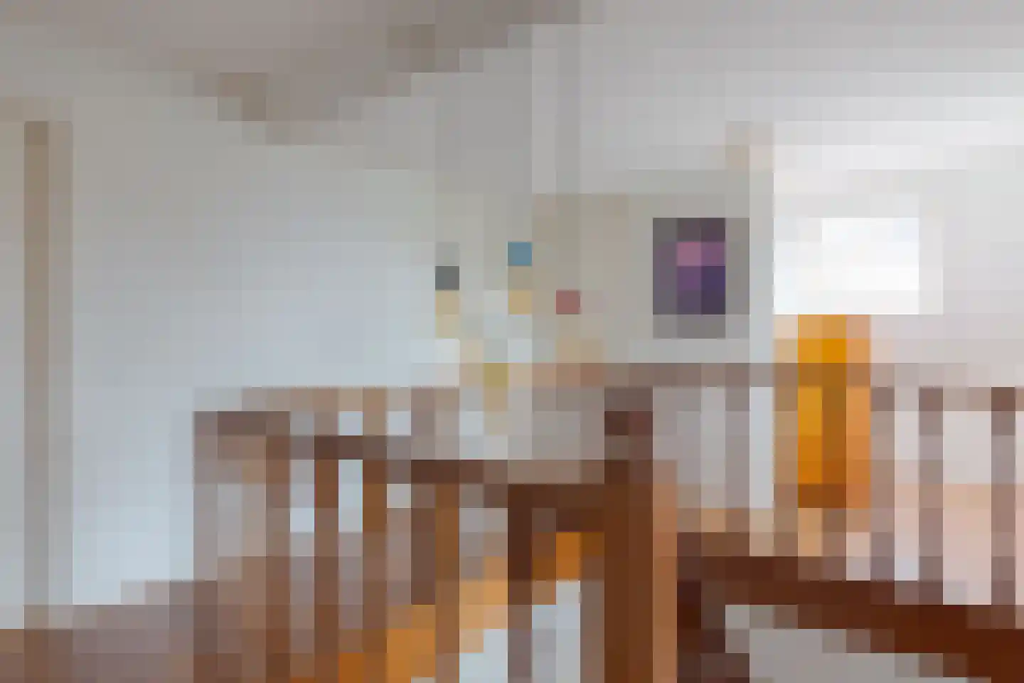 Hagedoornstraat 6 De Blesse thumbnail 25