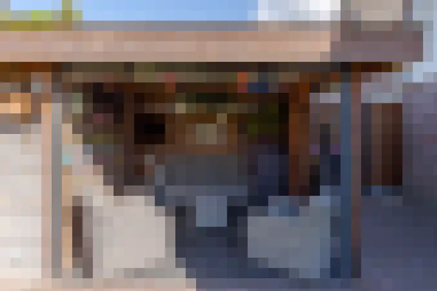 Hagedoornstraat 6 De Blesse thumbnail 40