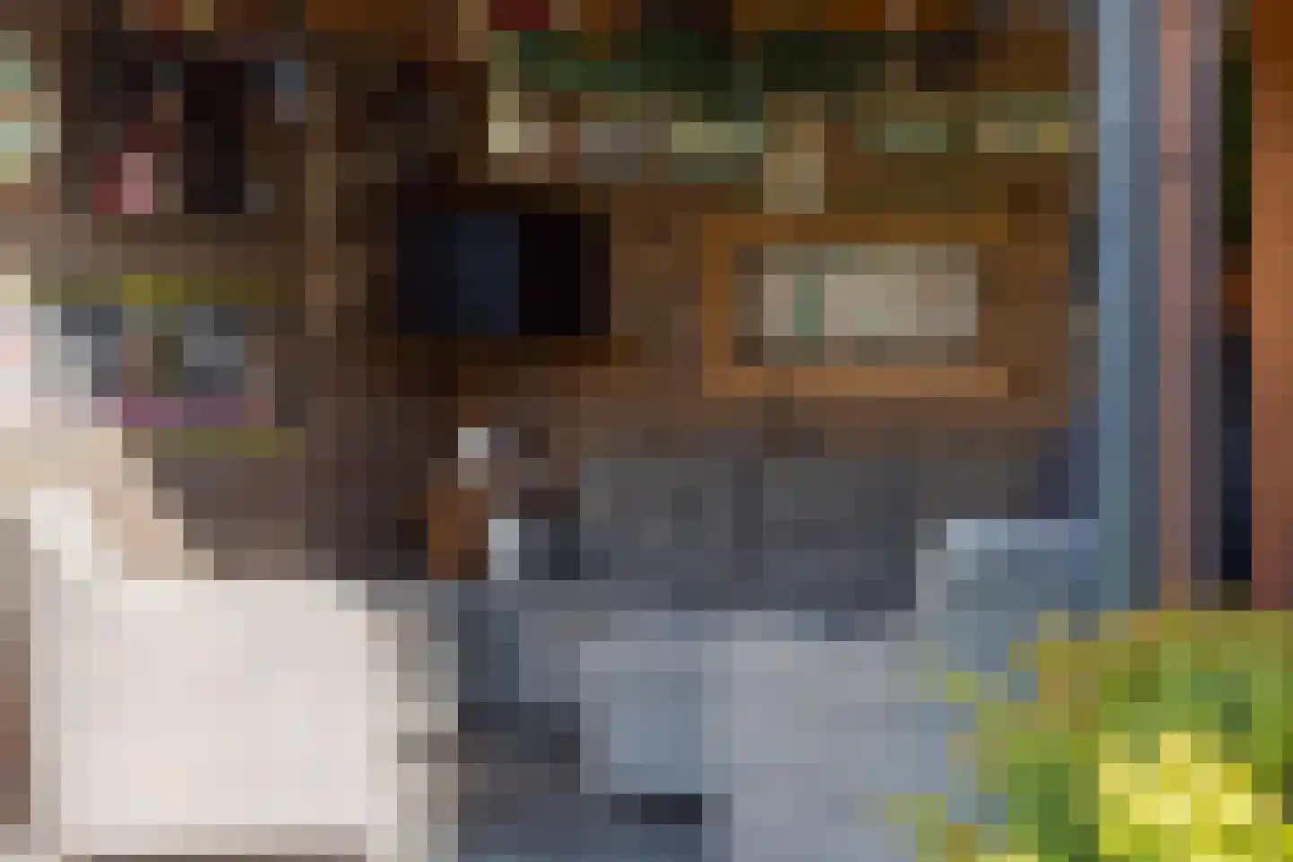 Hagedoornstraat 6 De Blesse thumbnail 42