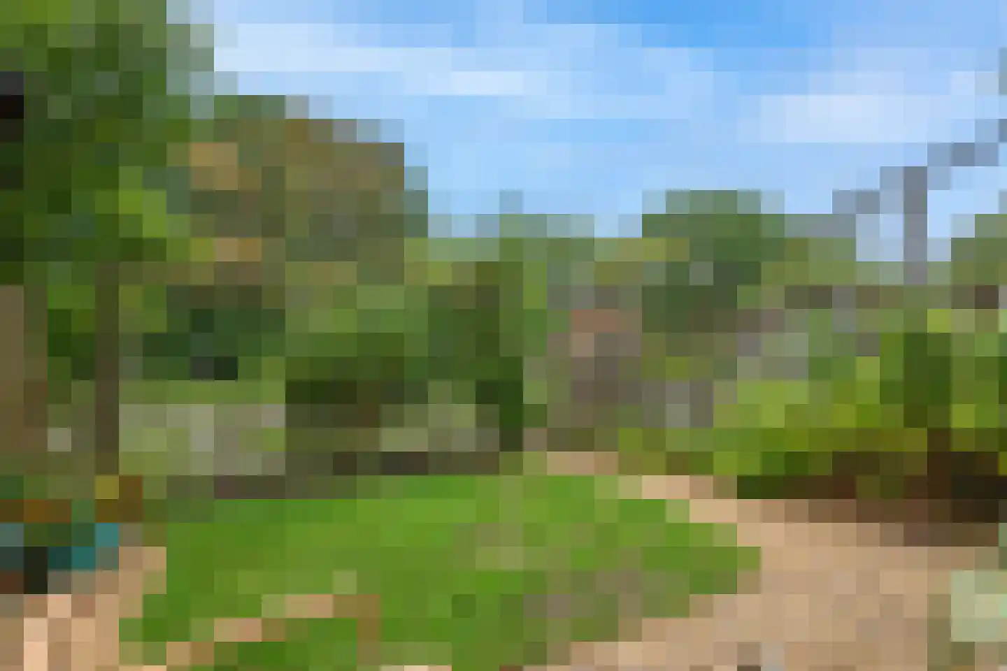 Hagedoornweg 14 Schoorl thumbnail 13