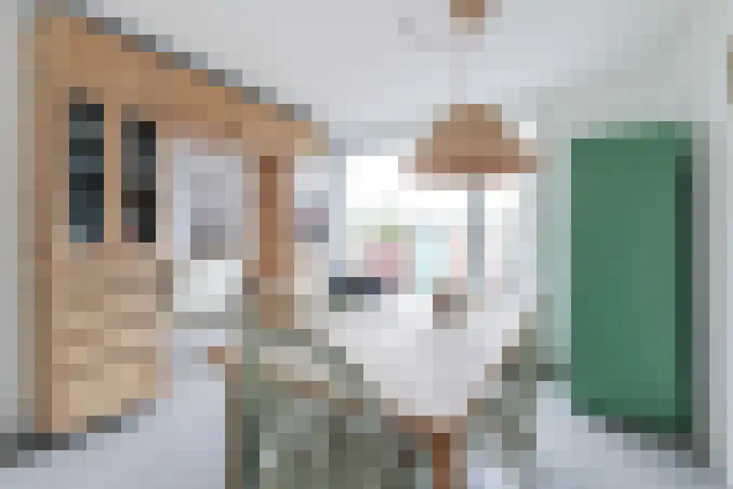 Hagedoornweg 14 Schoorl thumbnail 20