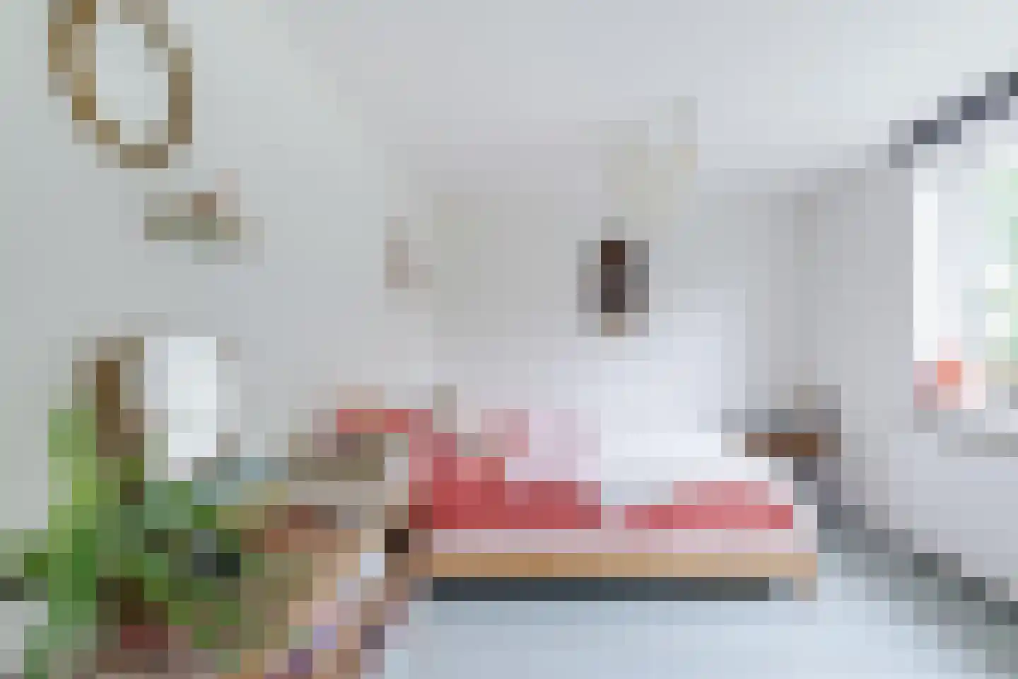 Hagedoornweg 14 Schoorl thumbnail 32