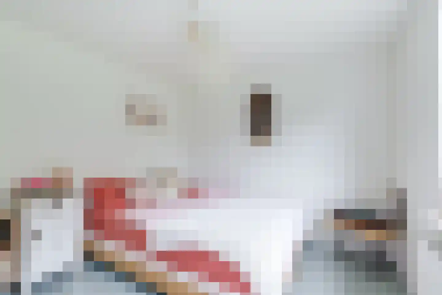 Hagedoornweg 14 Schoorl thumbnail 33