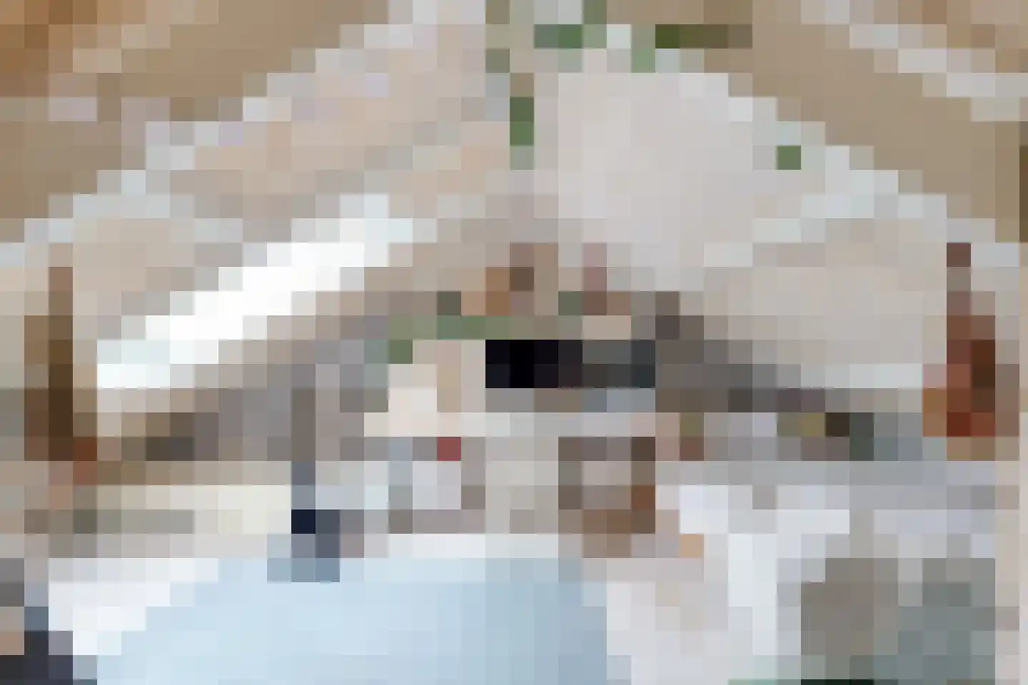 Hagedoornweg 14 Schoorl thumbnail 36