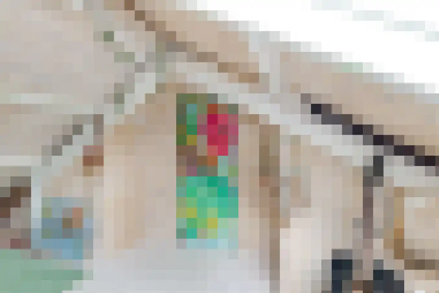 Hagedoornweg 14 Schoorl thumbnail 38