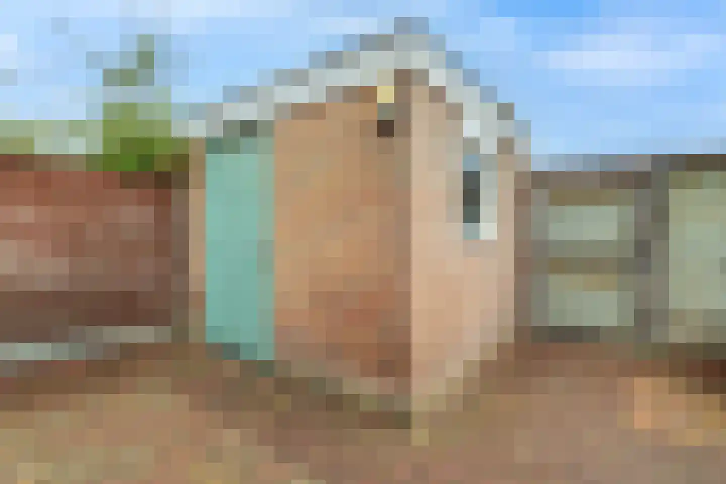 Hagedoornweg 14 Schoorl thumbnail 41