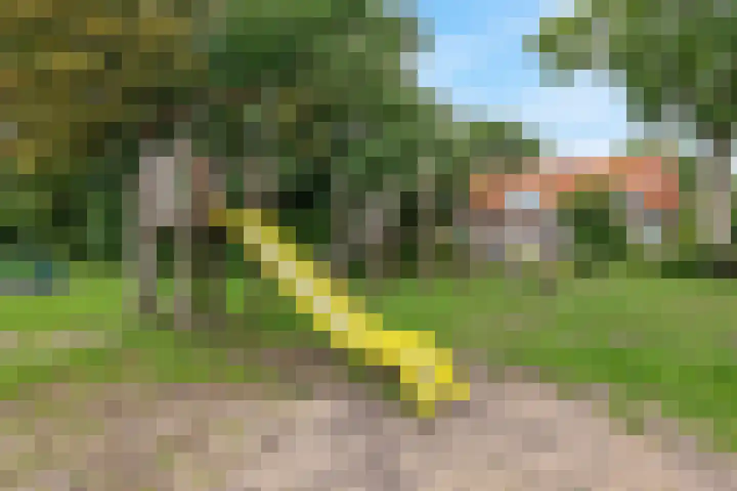 Hagedoornweg 14 Schoorl thumbnail 44
