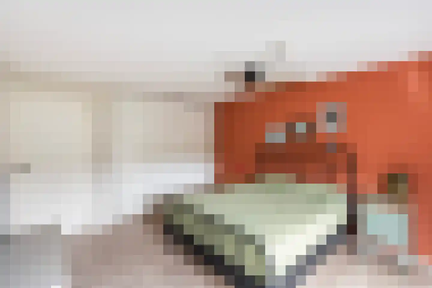 Hagedoornweg 4 Zwolle thumbnail 15