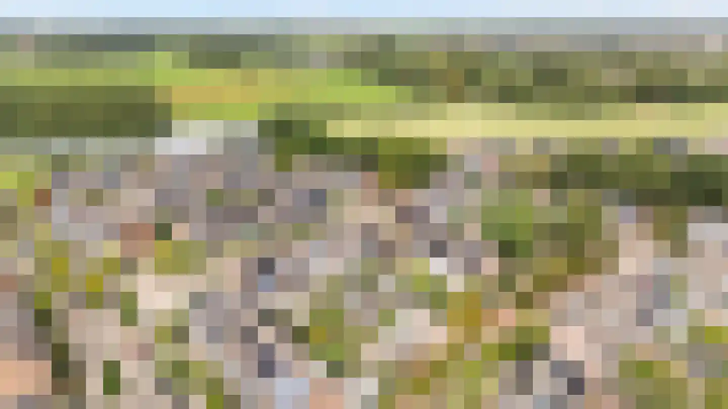 Hagedoornweg 4 Zwolle thumbnail 33