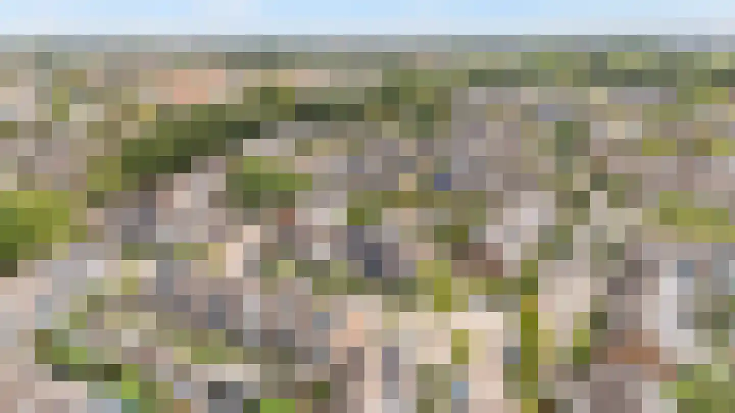 Hagedoornweg 4 Zwolle thumbnail 34