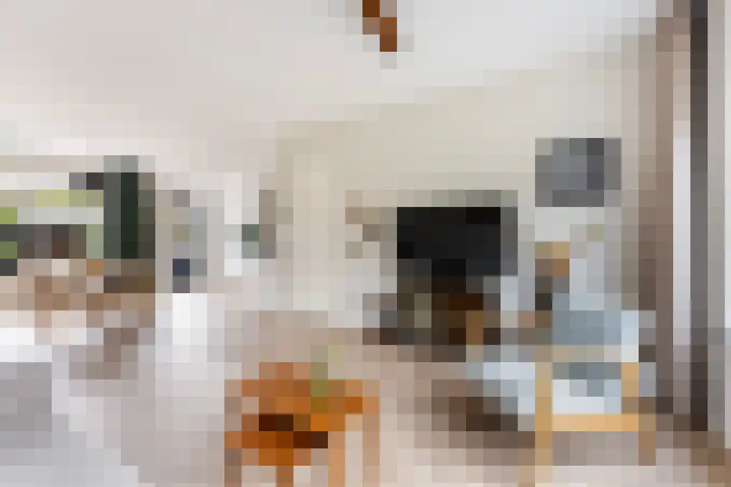 Hagedoornweg 4 Zwolle thumbnail 5