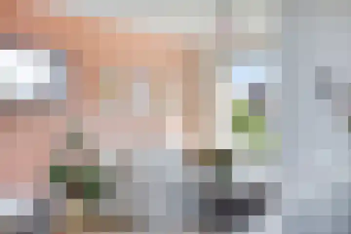 Hageheld 20 Someren thumbnail 14