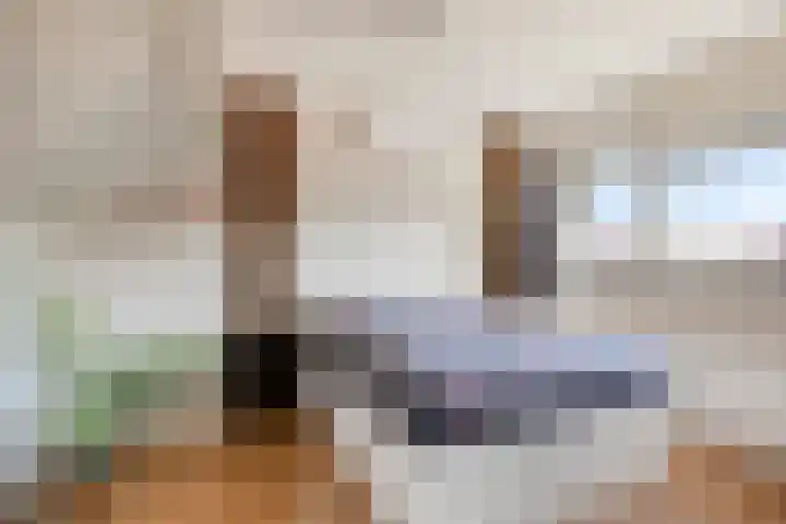 Hageheld 20 Someren thumbnail 22