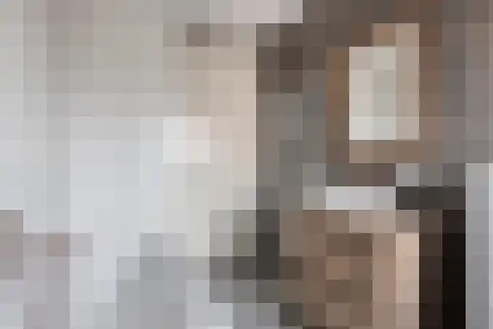 Hageheld 20 Someren thumbnail 28