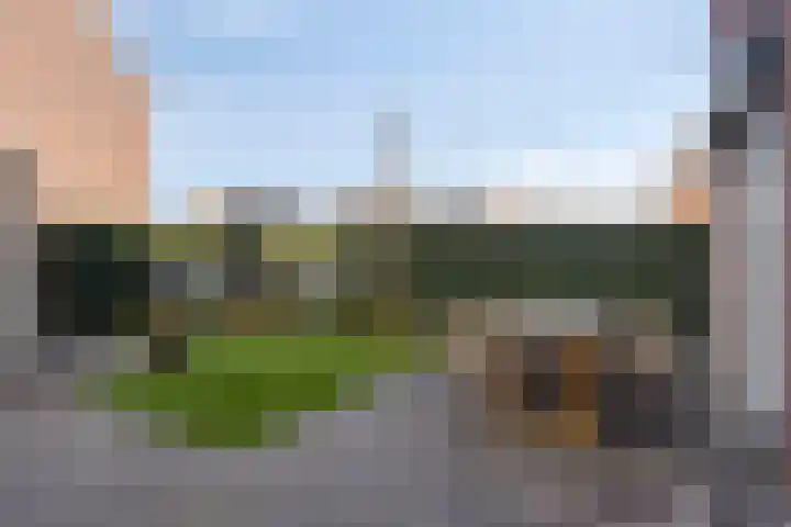 Hageheld 20 Someren thumbnail 33
