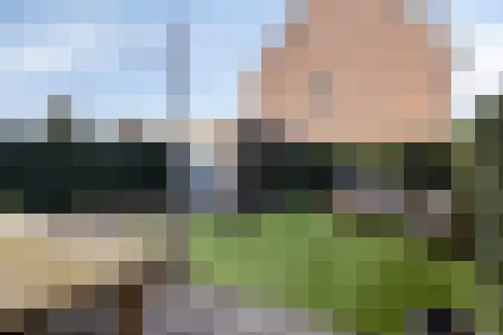 Hageheld 20 Someren thumbnail 35