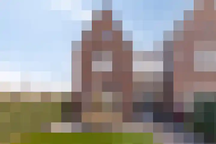 Hageheld 20 Someren thumbnail 38