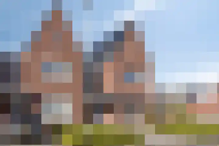 Hageheld 20 Someren thumbnail 4