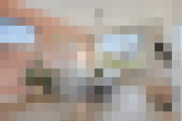 Hageheld 20 Someren thumbnail 8