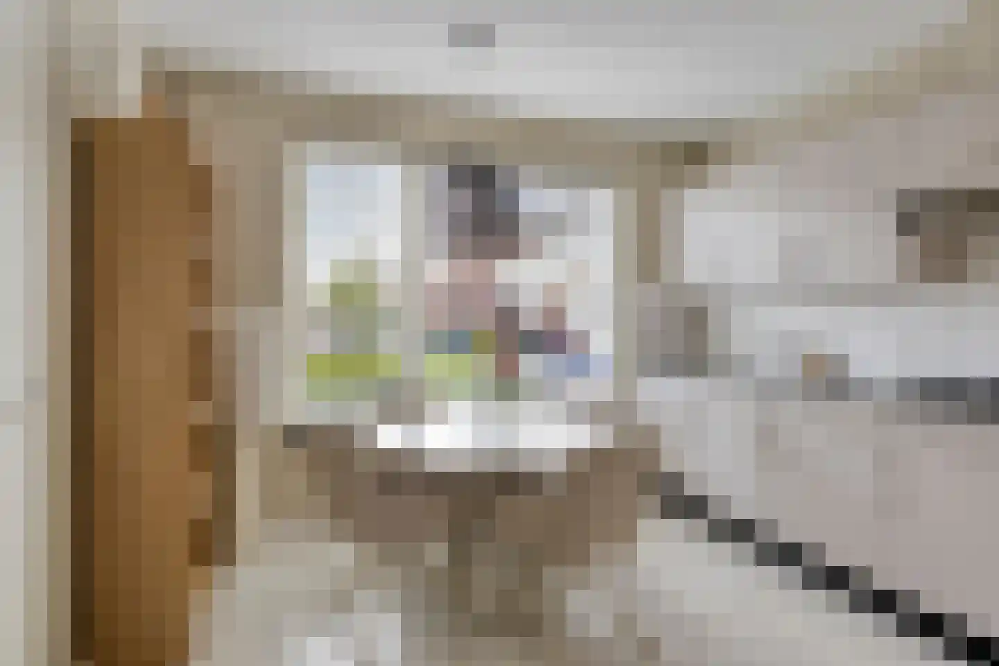 Hageheld 30 Someren thumbnail 11