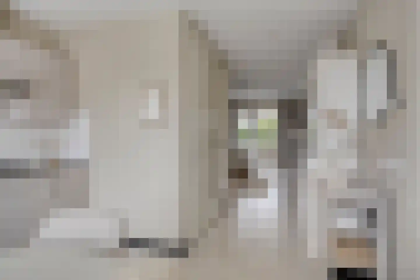 Hageheld 30 Someren thumbnail 13