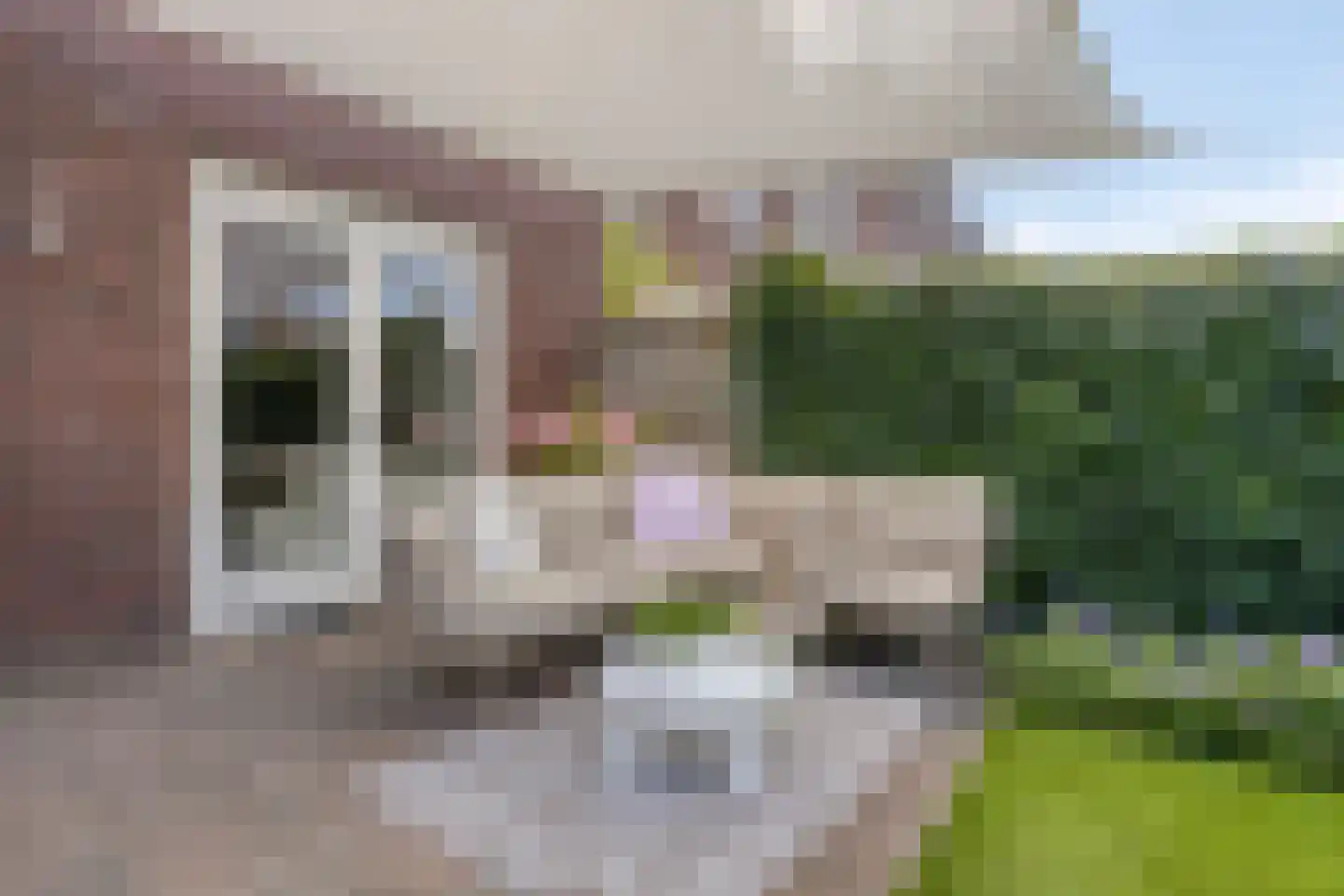 Hageheld 30 Someren thumbnail 31