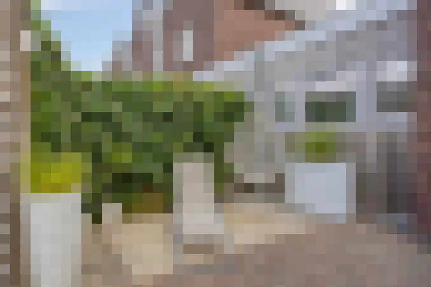 Hageheld 30 Someren thumbnail 33