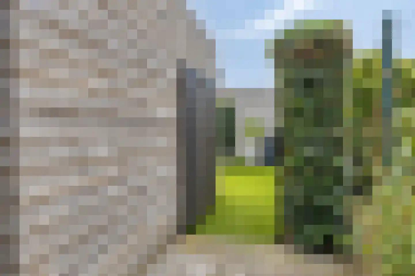 Hageheld 30 Someren thumbnail 35