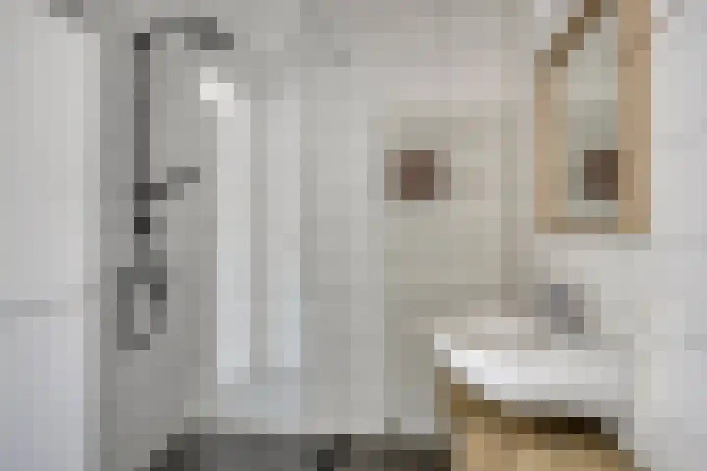 Hageheld 30 Someren thumbnail 4