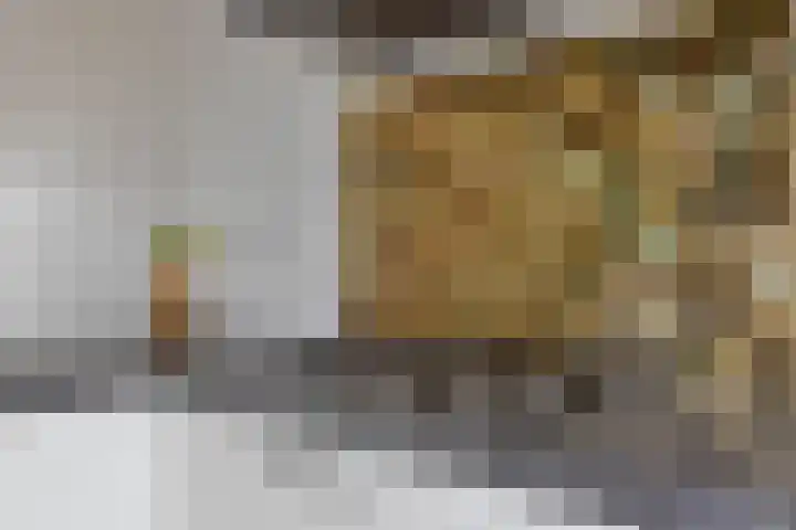 Hageheld 37 Someren thumbnail 20