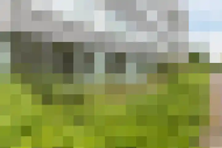 Hageheld 37 Someren thumbnail 30